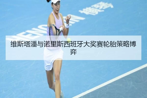 维斯塔潘与诺里斯西班牙大奖赛轮胎策略博弈